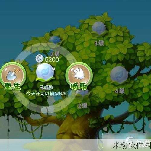 开心消消乐金银果树升级与摘取全攻略