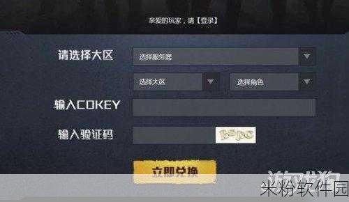 和平精英，CDKEY 兑换码密码之谜