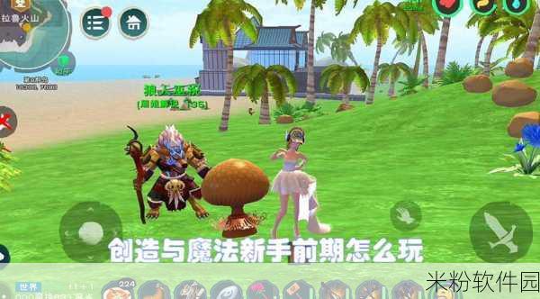 创造与魔法，探秘海战玩法与技巧