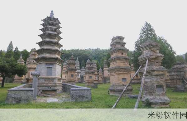 烟雨江湖，深入探秘少林寺门派