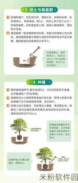 Forest专注森林新手种树全攻略