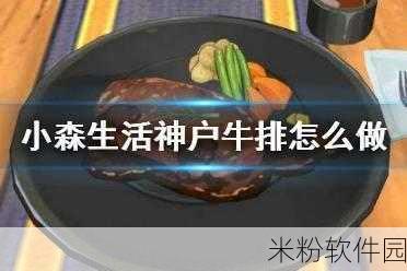 小森生活手游，新手必备神户牛排制作全攻略