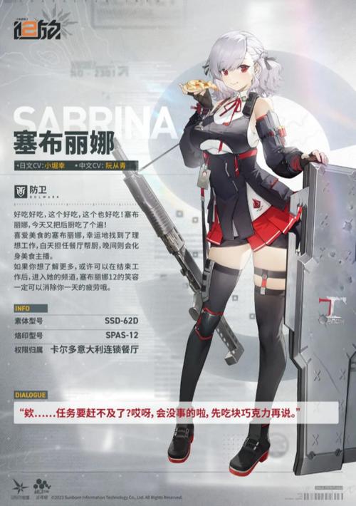 少女前线2，追放维克托技能详解与新手攻略