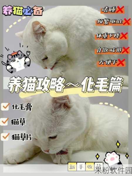 我自为道猫扉客栈新手全攻略