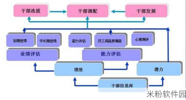 新月同行启航强度深度剖析与培养价值评估