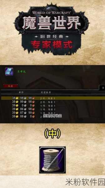 魔兽世界 60 级制皮攻略，踏上制皮大师之路