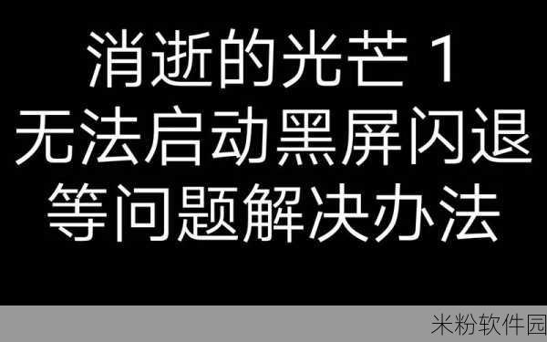 当神奇光芒落下，新手黑屏应对与全攻略