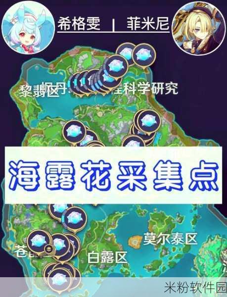 原神手游新手攻略，海露花高效采集路线详解