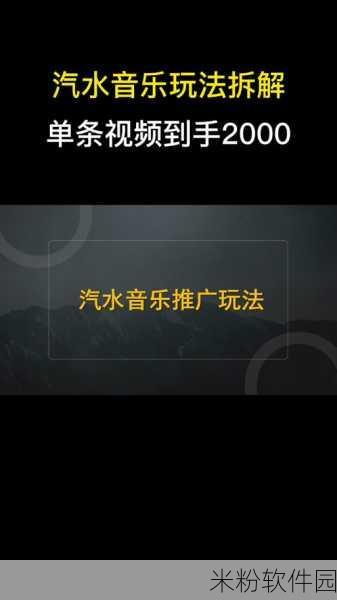 汽水音乐推广授权申请适什么：拓展汽水音乐推广授权申请方案及合作建议