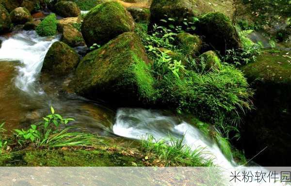 两峰夹小溪地湿又无泥诗小说：两峰夹溪水潺潺，湿润青苔映春光