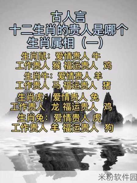 巧取三六和九数是什么生肖：探秘巧取三六九数背后的生肖寓意与象征