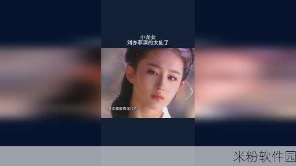 头影忍者女忍耐力测试：极限挑战：头影忍者女忍耐力测试全攻略