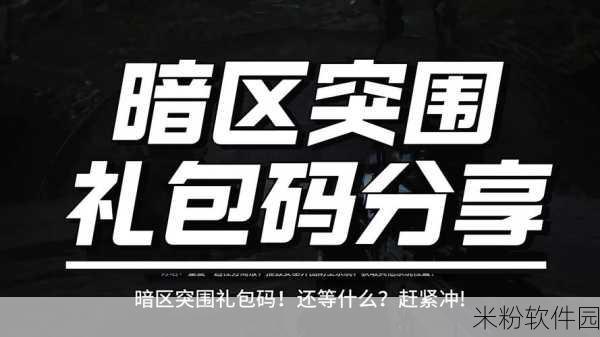 暗区突围官网cdk兑换：暗区突围官网CDK兑换攻略：轻松获取游戏福利秘籍