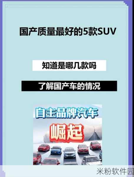 国产入口：推动国产产品普及，助力自主品牌崛起与发展