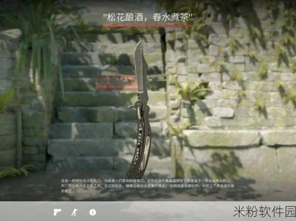 暴躁老姐的csgo心得分享视频：暴躁老姐的CS：GO实战技巧与心得分享，提升你的游戏水平！