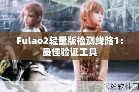 fulao2检测路线1：优化fulao2检测路线1以提升效率和准确性