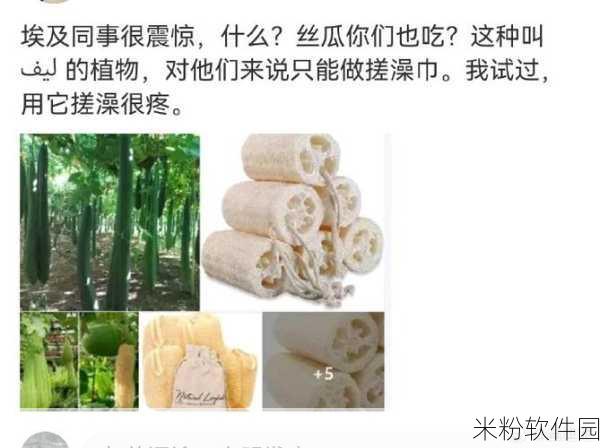 丝瓜破解18岁：丝瓜解密青春密码：破解18岁成长之谜