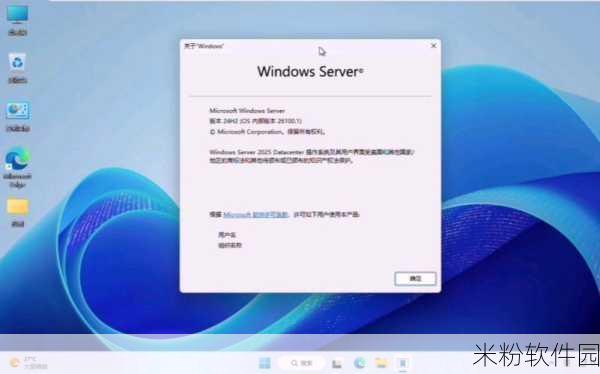 日本windowsserver200：关于日本Windows Server 200的全面解析与应用实践探讨