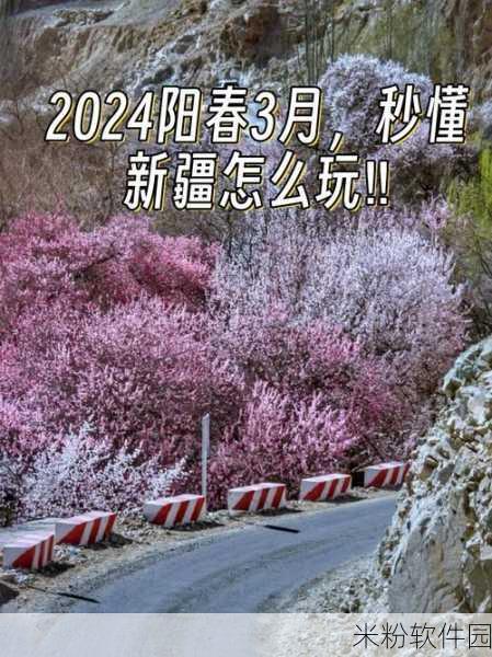 伊犁园20243秒转入：“探索未来：伊犁园的2024年发展新机遇”