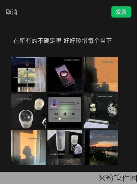 小圈重度自调任务：探索小圈重度自调任务的创新应用与实践策略