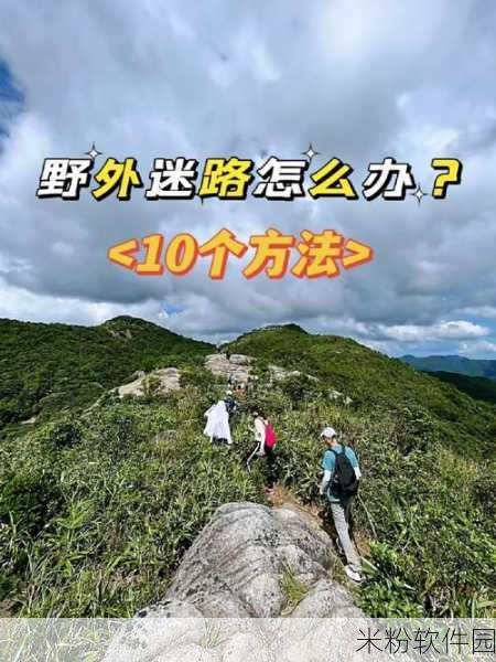 tai9回家不迷路：轻松导航，助你顺利回家不再迷路的方法分享