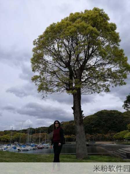 日木一线和三线的区别百度：日木一线与三线的区别详解及其影响因素分析