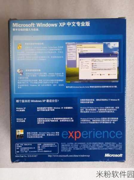 美国和欧洲windows：探索美国与欧洲在Windows操作系统领域的创新与发展之路