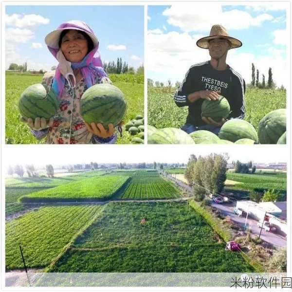 51今日大瓜热门大瓜往期内容：今日热议：51大瓜背后的真相与往期精彩回顾