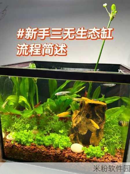 糖豆人手游新手入门，鱼缸裤子获取全攻略