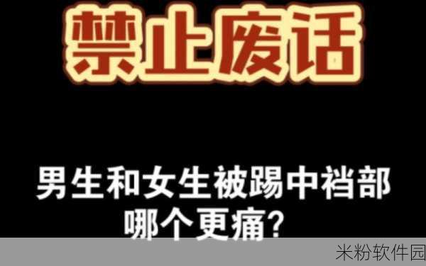 男生和女生愁愁愁很痛大全：男生女生愁愁愁：恋爱烦恼与生活压力的深度探讨