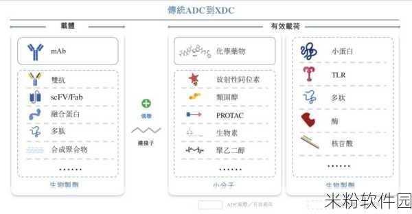 adc影视年龄确认实名认证观看：全面提升ADC影视实名认证制度，确保观众年龄确认无误