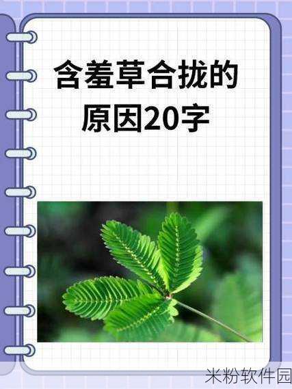 含羞草传媒2024隐藏线路：探秘含羞草传媒2024：揭开隐藏线路的新篇章