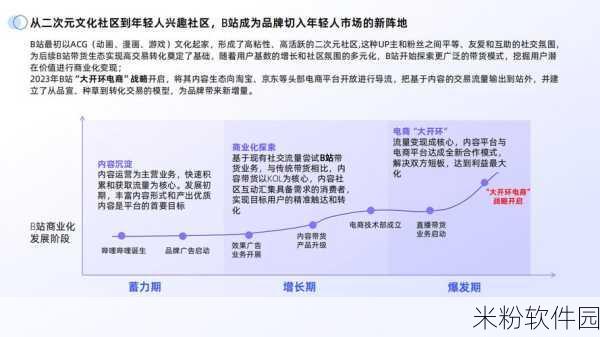 2024年免费b站人口：2024年B站新增免费用户人数激增，探索背后原因与趋势分析