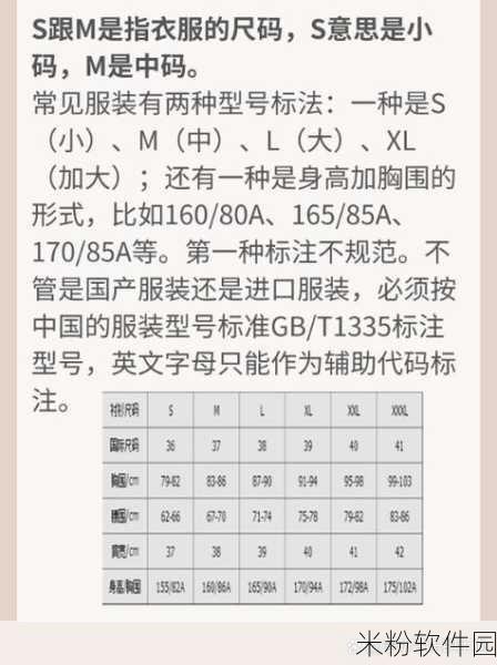 亚洲m码欧洲s码最新56：亚洲M码与欧洲S码的最新对照及时尚搭配指南