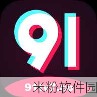 91确解版：91确解版：全面解析与实用技巧的结合