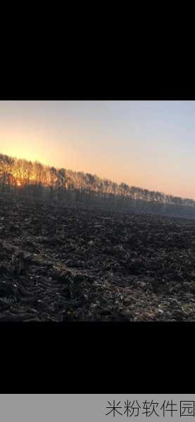 耕了母亲荒废土地：倾心耕耘母亲遗弃土地，收获希望与梦想的丰饶