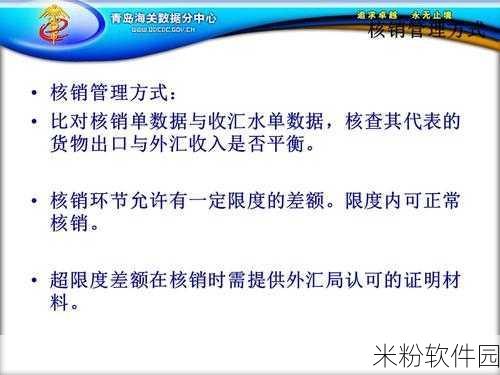 出口收汇网上核销申报系统：优化拓展出口收汇网上核销申报系统的实施策略与建议