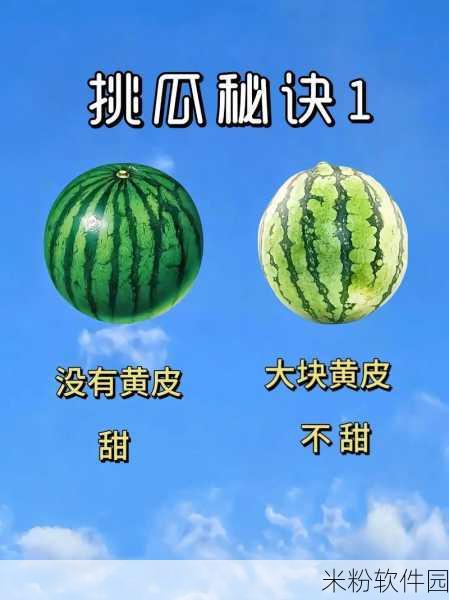 九11吃瓜爆料黑料最新消息：九十一吃瓜最新爆料：黑料曝光引发热议！