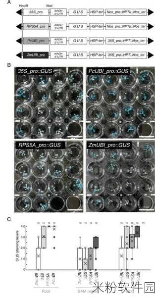 gusactivatorproa12注册序列号费用：关于拓展GusActivatorPro A12注册序列号的费用详细说明