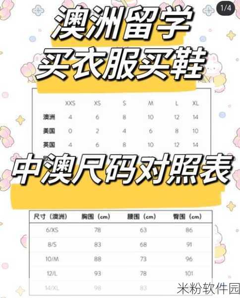 亚洲尺码和欧洲尺码专线：亚洲尺码与欧洲尺码对照及转化指南详解