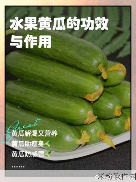 香蕉菠萝黄瓜草莓樱桃榴莲茄子：多种水果与蔬菜的健康营养搭配推荐指南