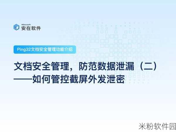 100款不良网站进入窗口软件：100款不良网站快速访问软件的安全隐患与防范措施解析