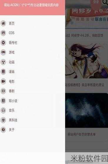 夜里18款禁用软件app的：夜间使用需谨慎：18款禁用软件APP详解与风险分析