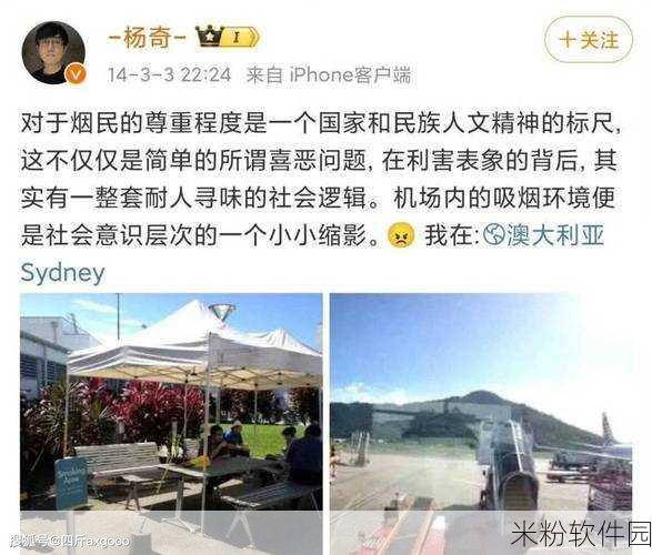 心猿归 杨奇：心灵归宿：杨奇的自我探索与成长之旅