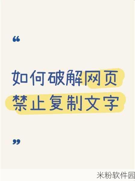 能打开违规网站的浏览器：突破网络限制，解锁违规网站的强大浏览器推荐