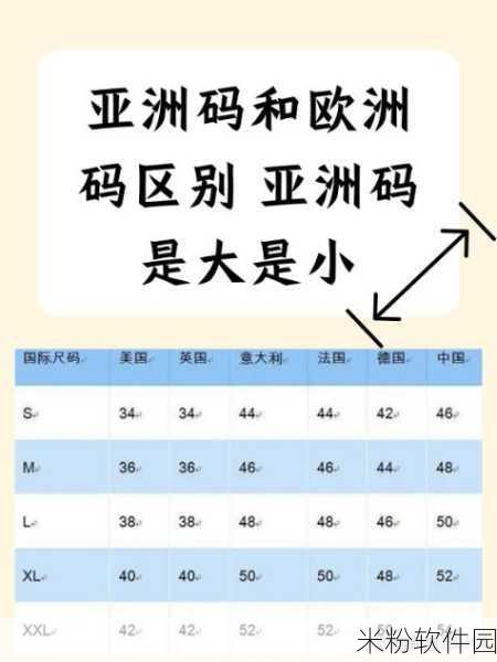 日韩码欧美码：深度解析日韩码与欧美码的差异及其应用