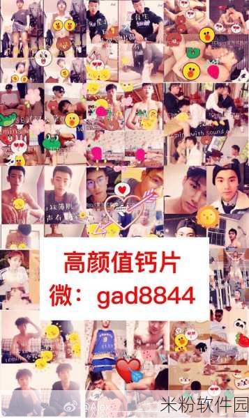 钙片网gay站2024：探索2024年拓展钙片网的创新与发展新方向