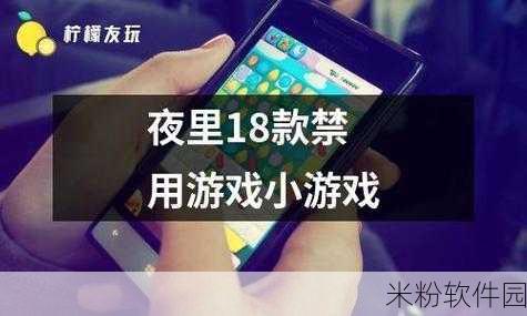 夜里18款禁用b站入App软件