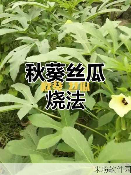 丝瓜秋葵茄子榴莲绿巨人：丝瓜与秋葵的奇妙搭配，茄子和榴莲解锁美味新玩法！