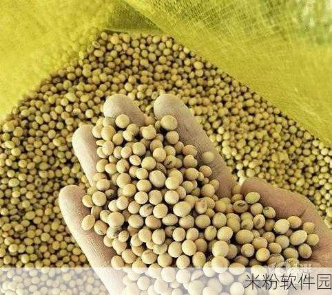 啦啦啦大豆行情网51的功能介绍：全面提升大豆行情网51的功能与服务介绍